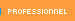 professionel